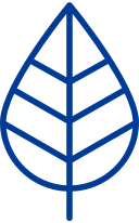 blue leaf icon