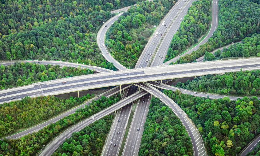 road transport forest